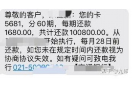 林州为什么选择专业追讨公司来处理您的债务纠纷？